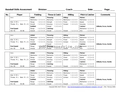 Free Baseball Assessment PDF Form