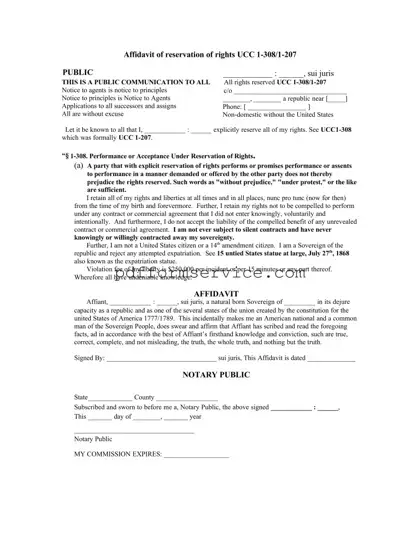Free Ucc 1 308 PDF Form